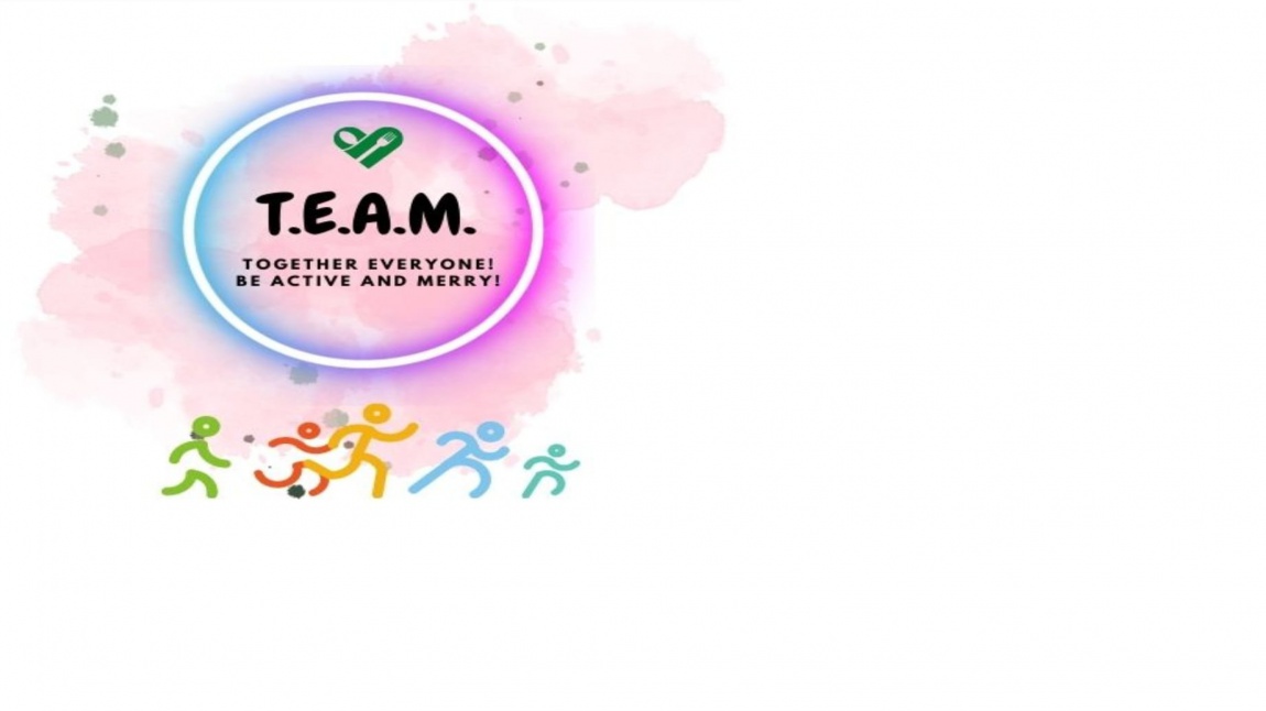 T.E.AM. Together Everyone !be Active and Merry!! e-Twinning projemizin logo oylama sonucu belli oldu