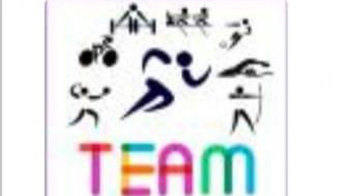 T.E.AM. Together Everyone !be Active and Merry!! e-Twinning projemizin logo oylama formu