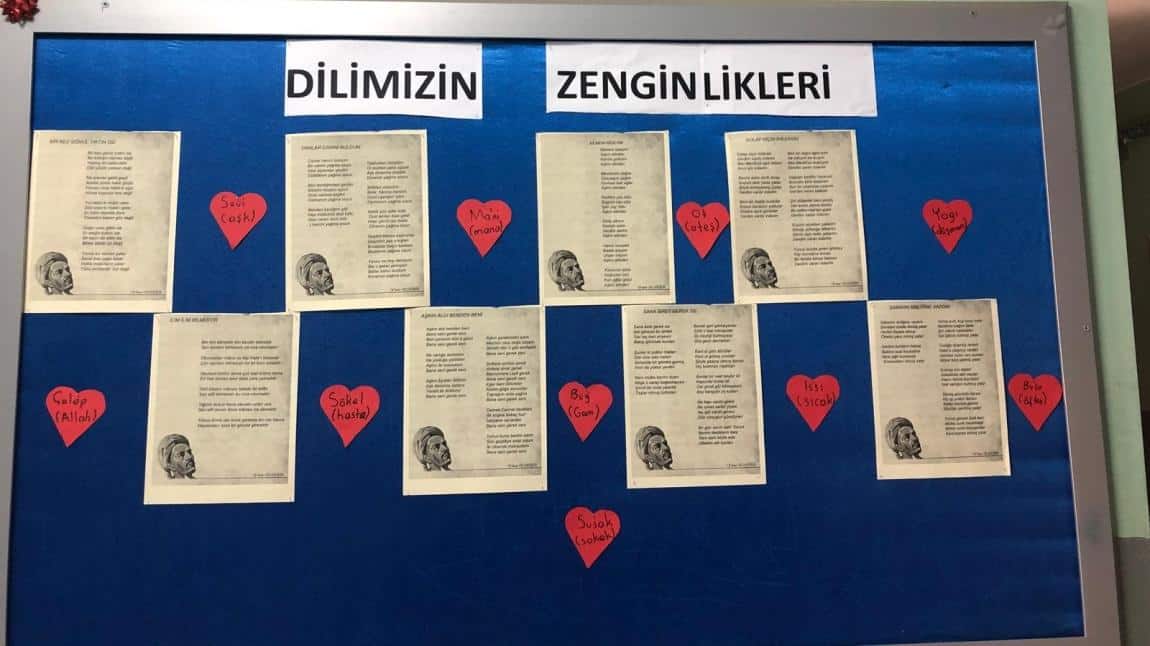 DİLİMİZİN ZENGİNLİKLERİ